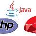 【PHP/Java/Ruby】Webサービスを個人開発する時のプログラミング言語選び【得意な言語でOK】